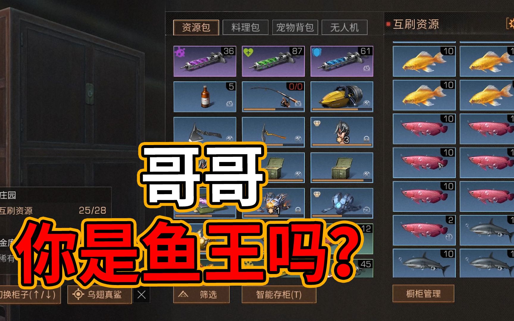 明日之后鲨鱼背包_明日之后鲨鱼背包隐藏马刀  第2张