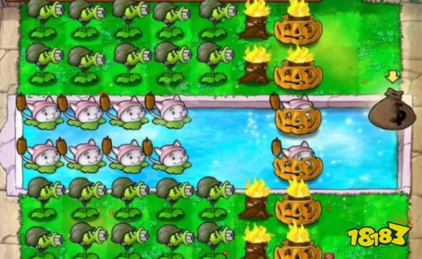 植物大战僵尸2010年度版坚不可摧攻略的简单介绍  第1张