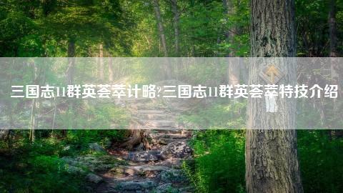 三国志11群英荟萃_三国志11群英荟萃贴吧  第1张