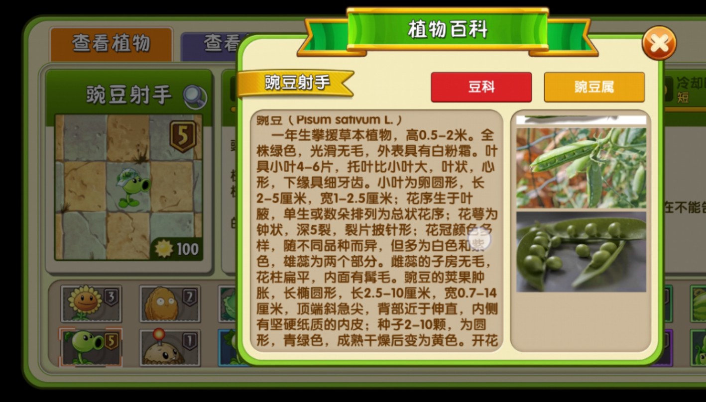 植物大战僵尸2修改器下载教程_植物大战僵尸修改器下载教程v31  第2张