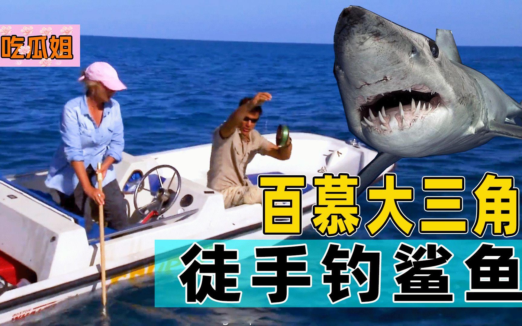 荒野求生夫妻档_荒野求生夫妻档第一季国语全集高清免费观看  第1张