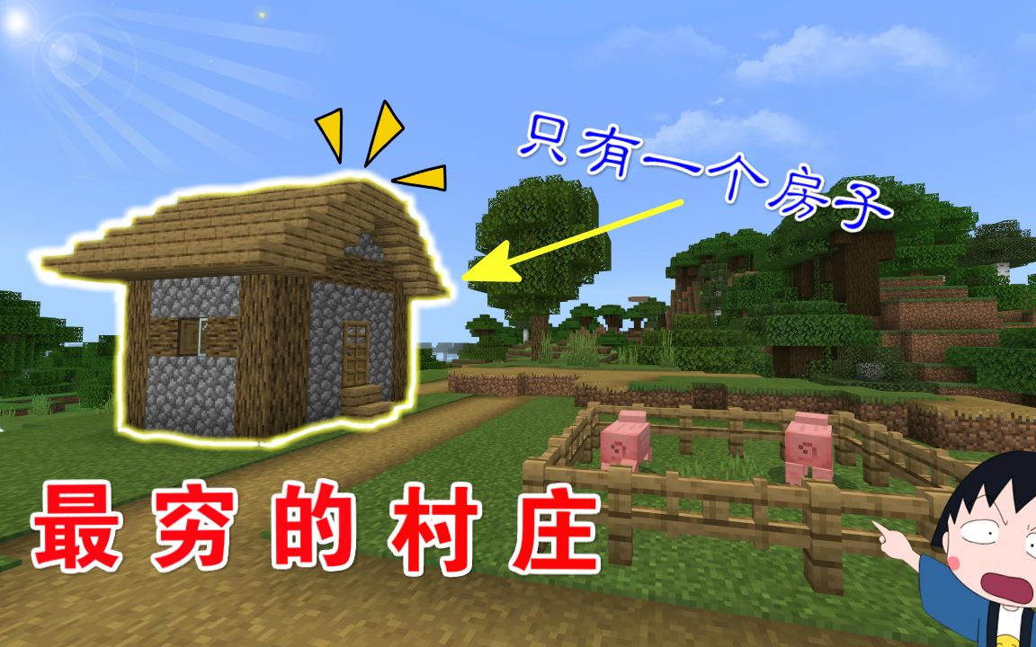 我的世界村庄种子一出生就在村庄_我的世界114出生在村庄的种子  第1张
