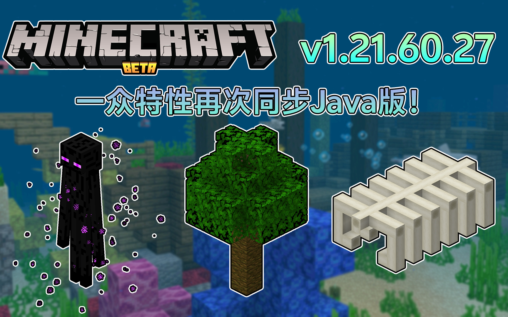 我的世界java版是啥意思(我的世界java版就是国际版吗)  第2张