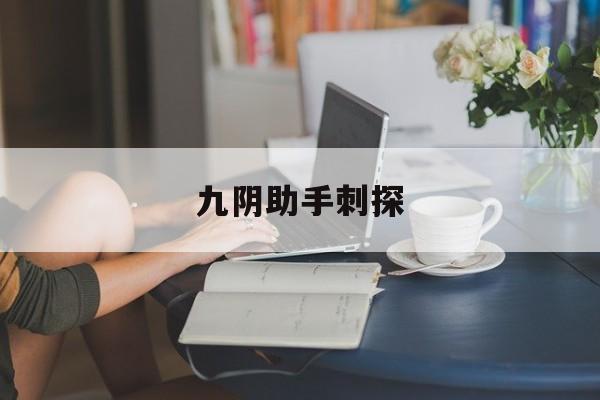 九阴助手刺探(九阴助手2124)  第1张