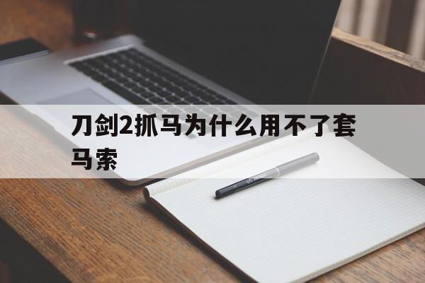 刀剑2抓马为什么用不了套马索_刀剑2怎么套马索没反应  第1张